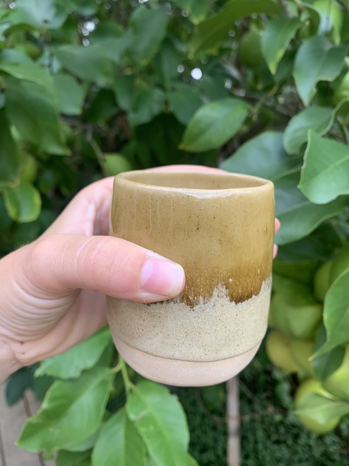 Mate mediano Musgo y oliva